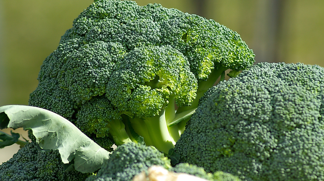 wochenmarkt_12cpixabay