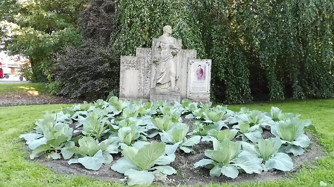 Kohlmarkt Wesselburen zu den 39. Dithmarscher Kohltagen