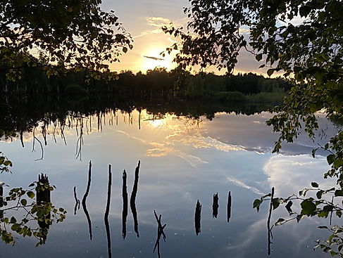 Mountainbike-Tour für Anfänger und Amateure
