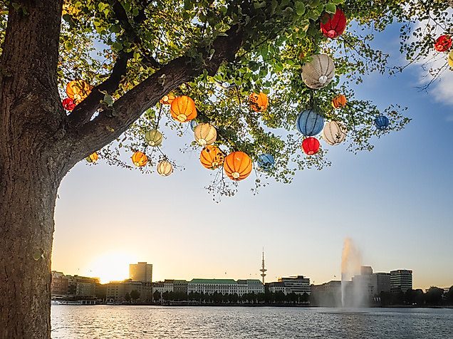 Bunte Lampions im Baum mit Blick auf Alsterfontäne in Hamburg