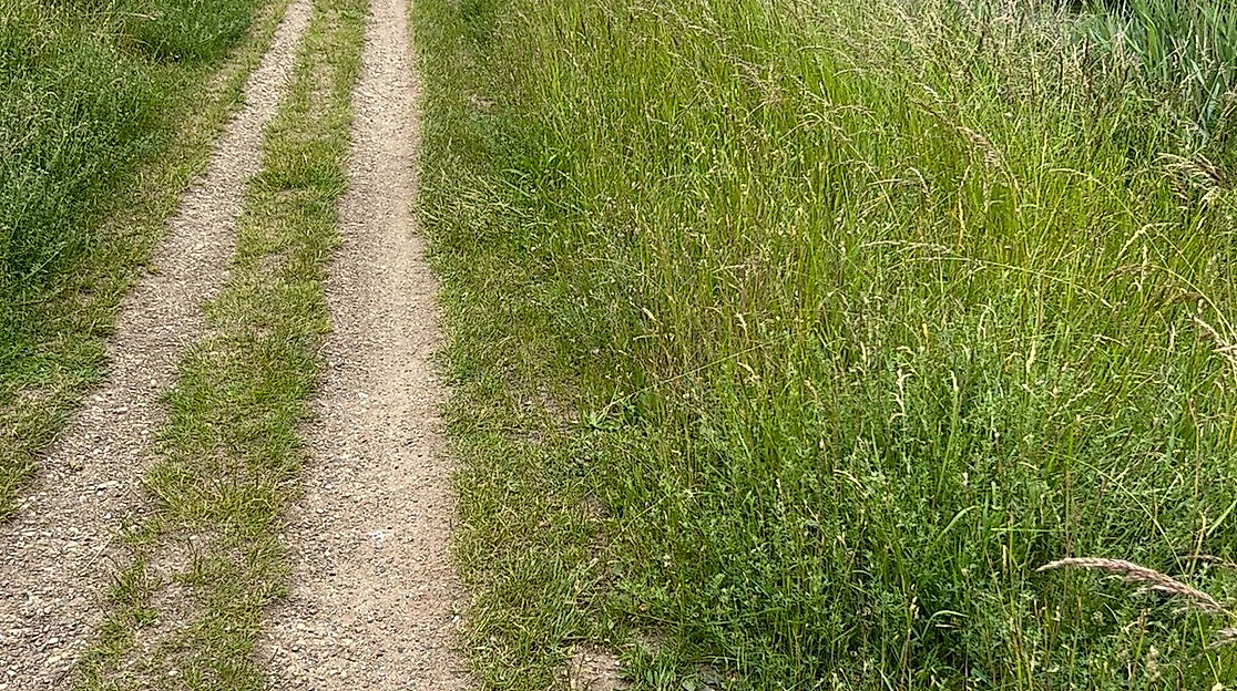 Kleiner Jakob-Pilgerrundweg um die Lübecker Innenstadt