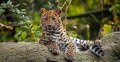 Tierpark Hagenbeck