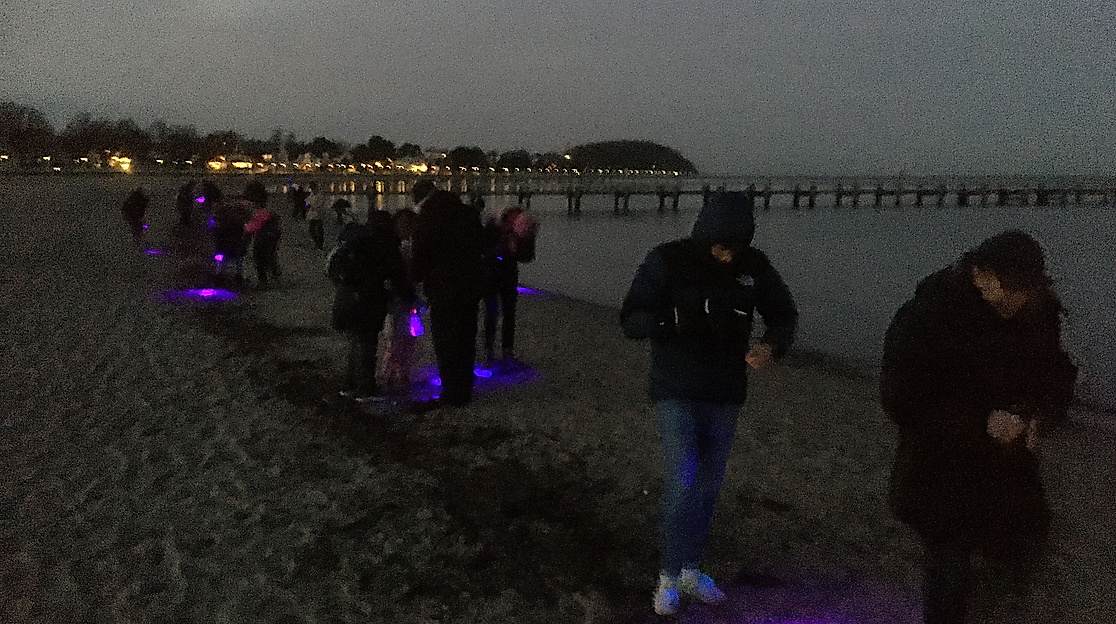 Bernstein-Exkursion am Strand mit Schwarzlicht