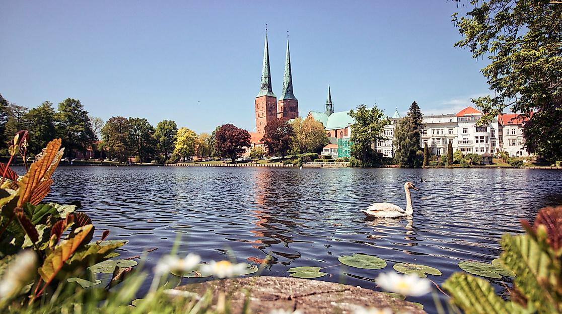 Dom zu Lübeck Panorama