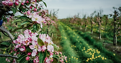 finkenwerder_hhlal_c-2017-geheimtipp-hamburg-1