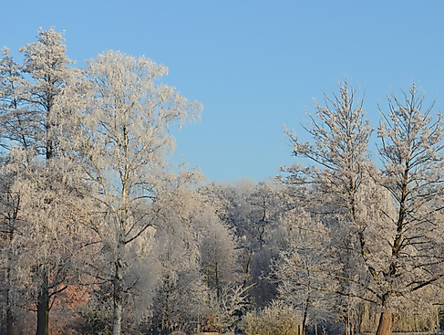 Wanderung zum Jahresbeginn