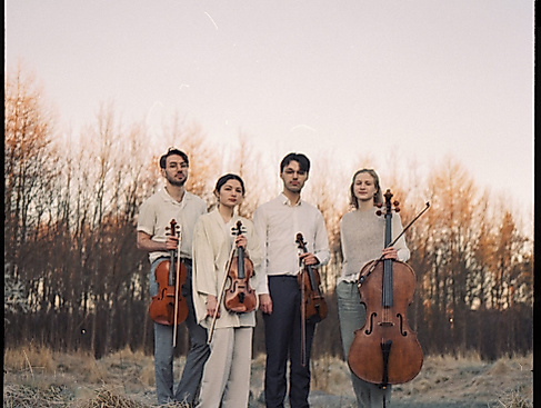 NOVO-Quartet-by-Rita-Kuhlmann-1-scaled