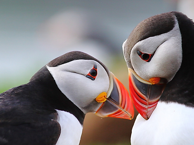 Photo 2 Wales07_CTMS_Matt_Hamilton