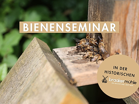 Bienenseminar am 13.6.26 in der historischen Braker Mühle in Braak