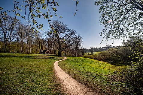 Jenisch Park Frühling