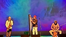 Saxyarpa