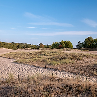 Trockenes Kiesbett mit spärlicher Vegetation unter blauem Himmel im Naturschutzgebiet Boberger Dünen in Hamburg.