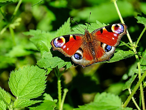 Bild von Couleur auf Pixabay