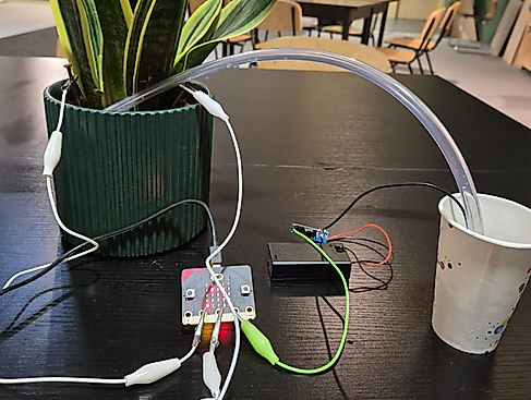 20250802-Fröhliche-Pflanzen-mit-microbit