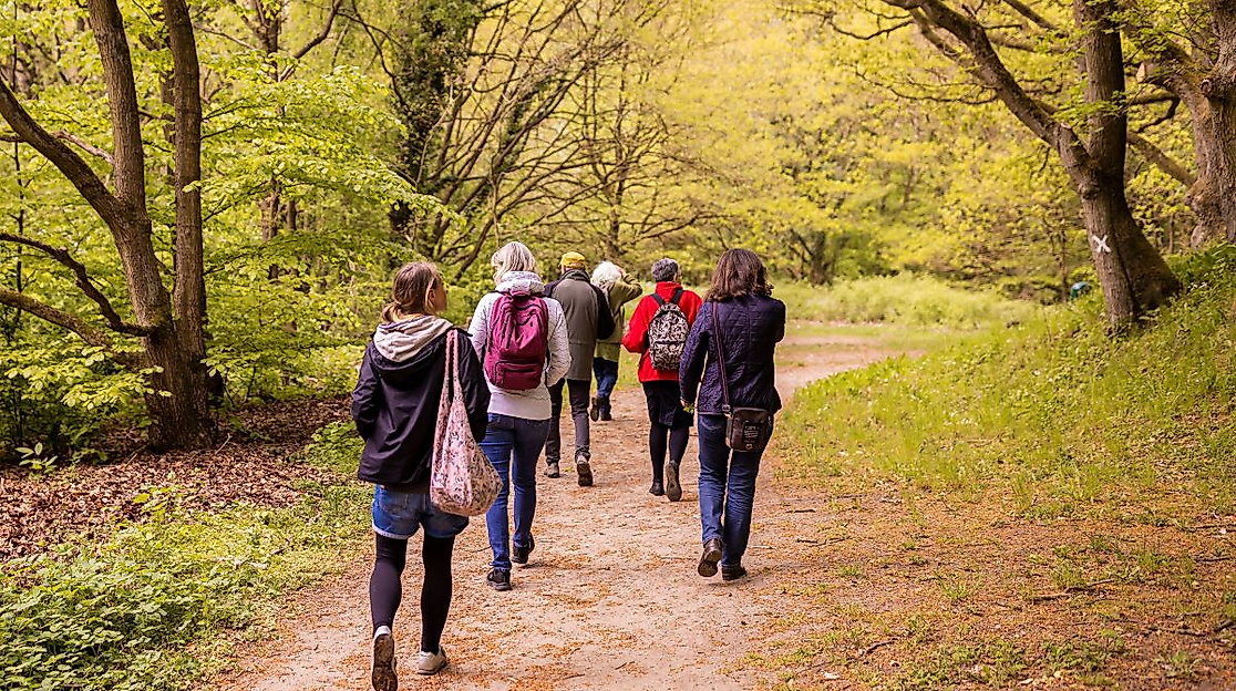 Lerne essbare Kräuter und Bäume auf einem Spaziergang zum höchsten Punkt der Gemeinde Scharbeutz kennen und stelle danach Wildes Sushi her.
