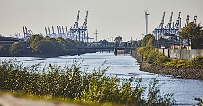 Sommerlicher Blick über den Veddel Spreehafen mit Kränen im Hintergrund und grüner Uferbepflanzung.