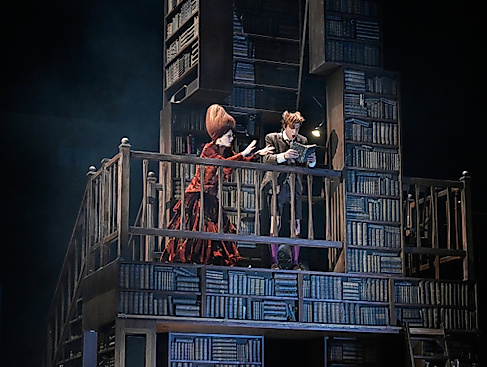 Die Stadt der Träumenden Bücher