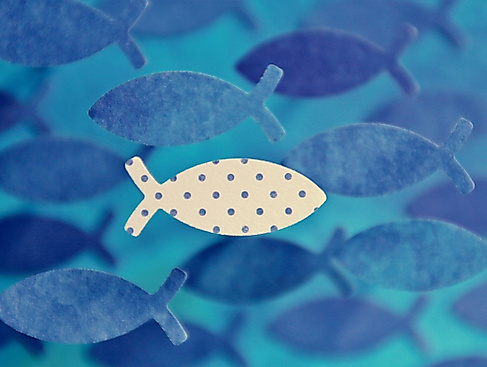 Konfirmation in der Martinskirche