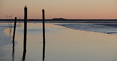 Husum