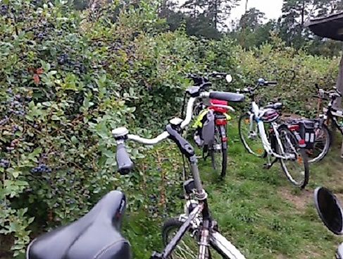 Geführte Fahrradtour mit der Urlaubsregion Ebstorf e.V.