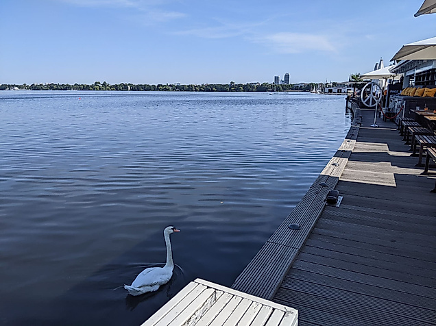 coco riviera-Blick ueber die Alster schweifen lassen