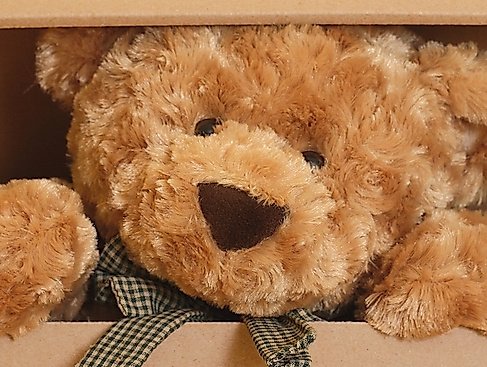 Teddybär+Schachtel