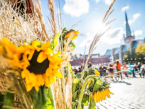 POPUP LÜBECK meets Erntedank