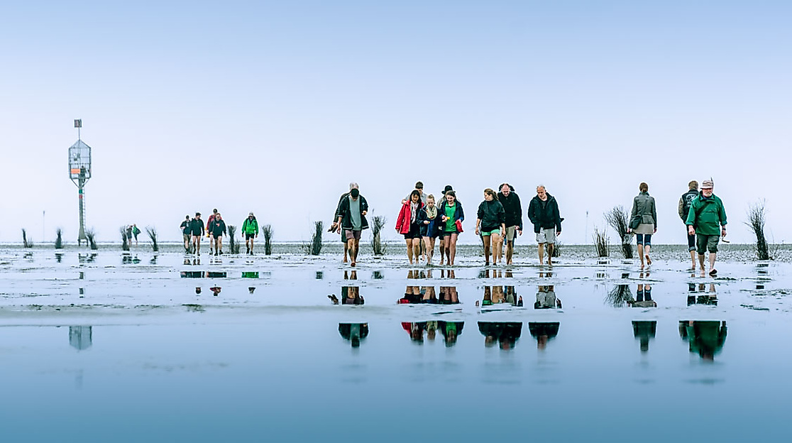 Gruppe von Wattwanderern spiegelt sich im nassen Schlick auf dem Weg zur Insel Neuwerk bei Ebbe