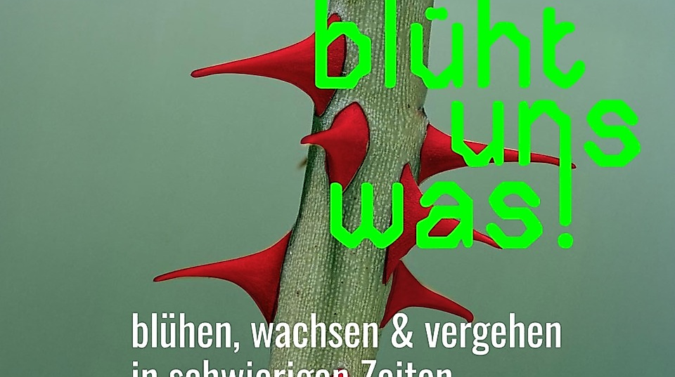 Insta-Post-Square-1080x1080-blueht-Date