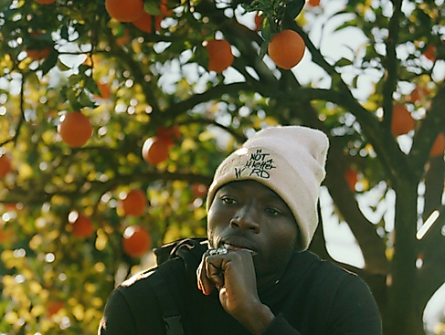 Ein Mann mit weißer Mütze steht vor einem Orangenbaum, an dem Früchte hängen.