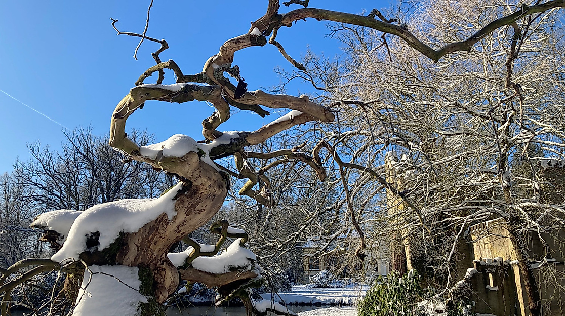Führung Breidings Garten Soltau