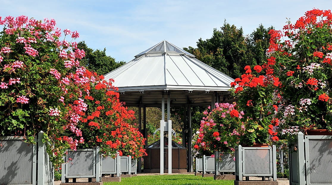 planten-un-blomen_rosengarten_c-berndt-andresen