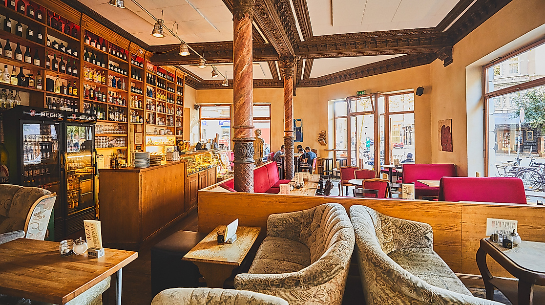 cafe-may_c-2018-thisisjulia-photography-5