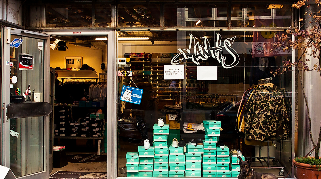 mantis_front_c-2018_tschreiber