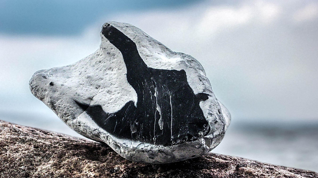 Steine, Fossilien & Meer