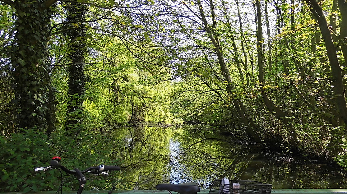 Maiengrün an der Wandsebrücke