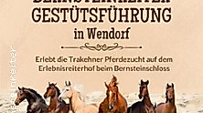 Gestütsführung Wendorf