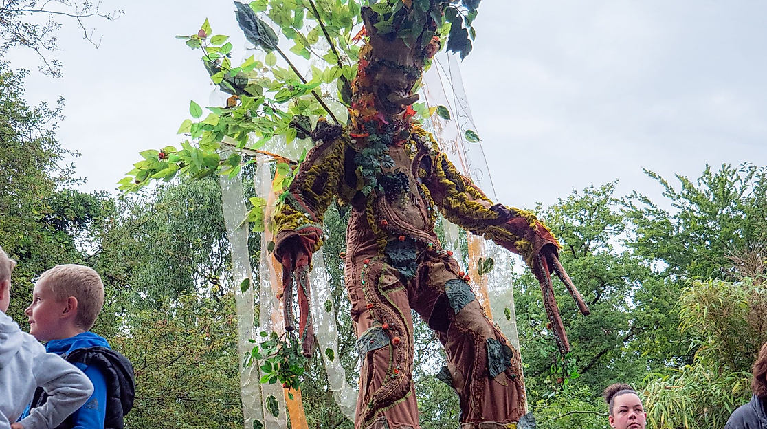 Tropennacht_2023_040_Fabelbaum-Stelzenlaeufer