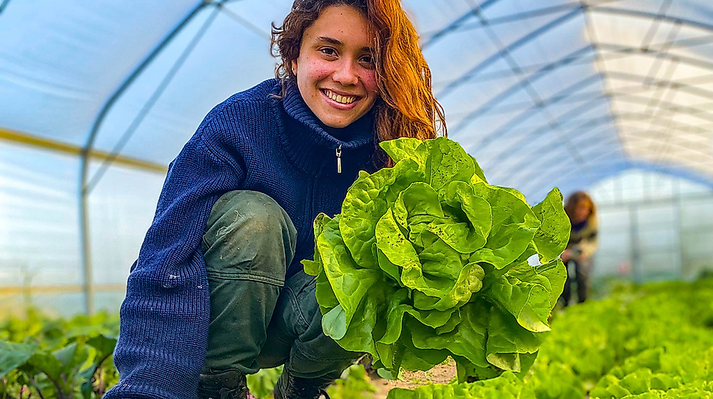 Demeter-Gemüseanbau