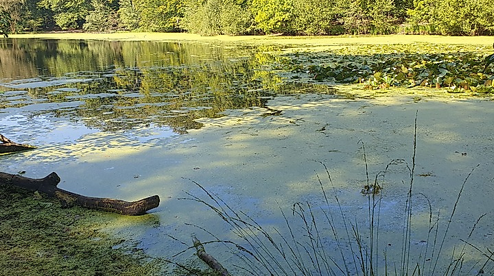 Lockere Tour nach Wedel