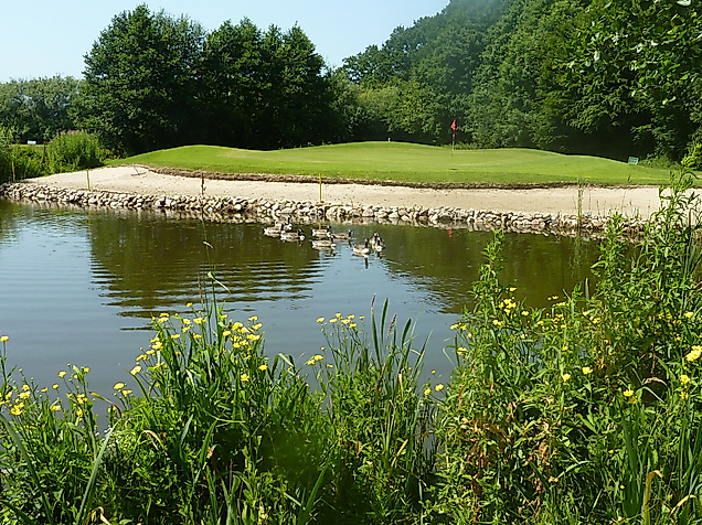 golfpark-weidenhof_bahn_c-golfpark-weidenhof_05
