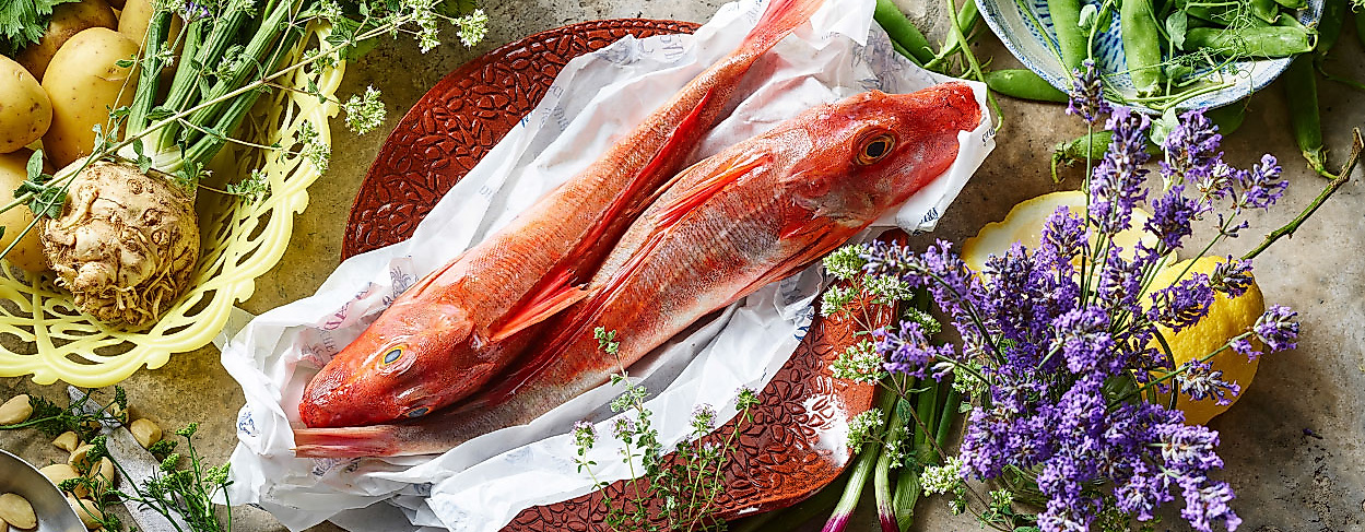 ht_genussrallye_hafen-1-c-erlebnisrallye