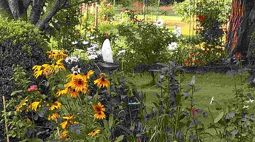Aktionsmonat Mai: Garten-Genuss-Rundgang mit sachkundiger Führung