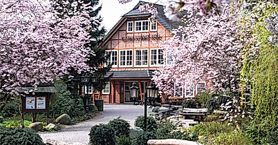 Wildpark Schwarze Berge