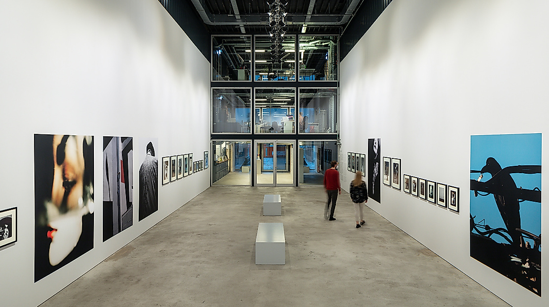 dth_phoxxi_davison_fast_orupabo_8648_2