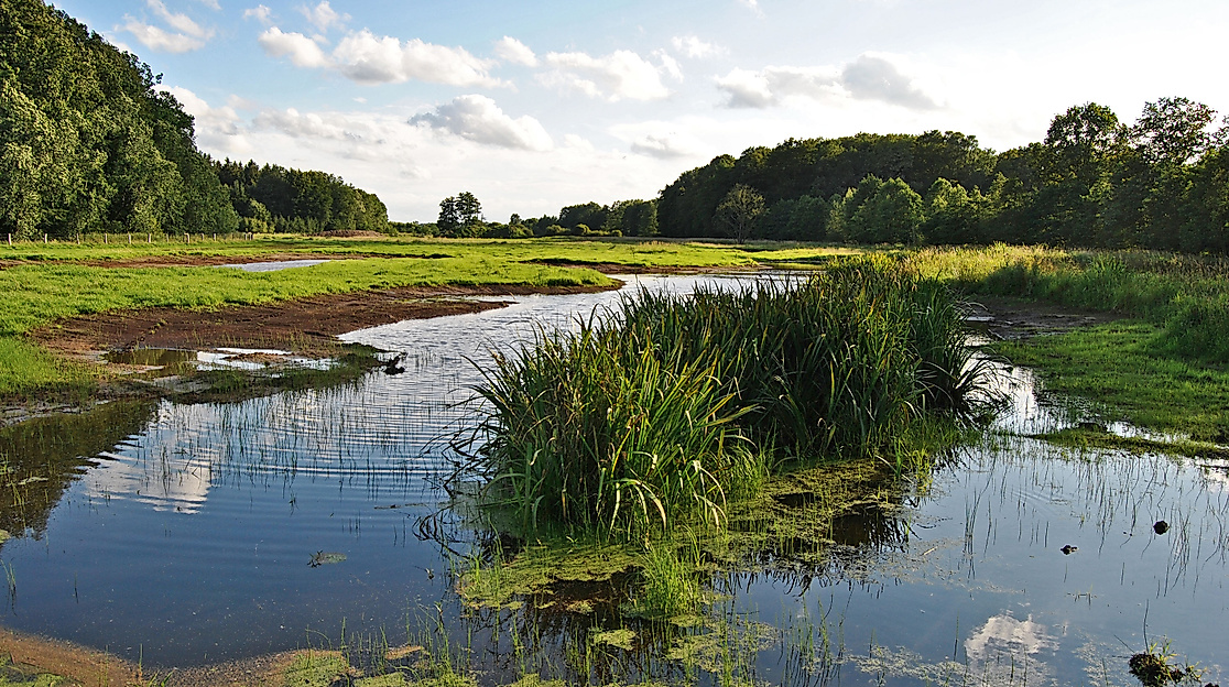 Plitsch platsch tierisch nass