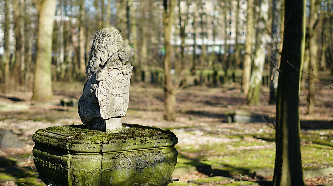 Jüdischer Friedhof an der Königstraße (2025)