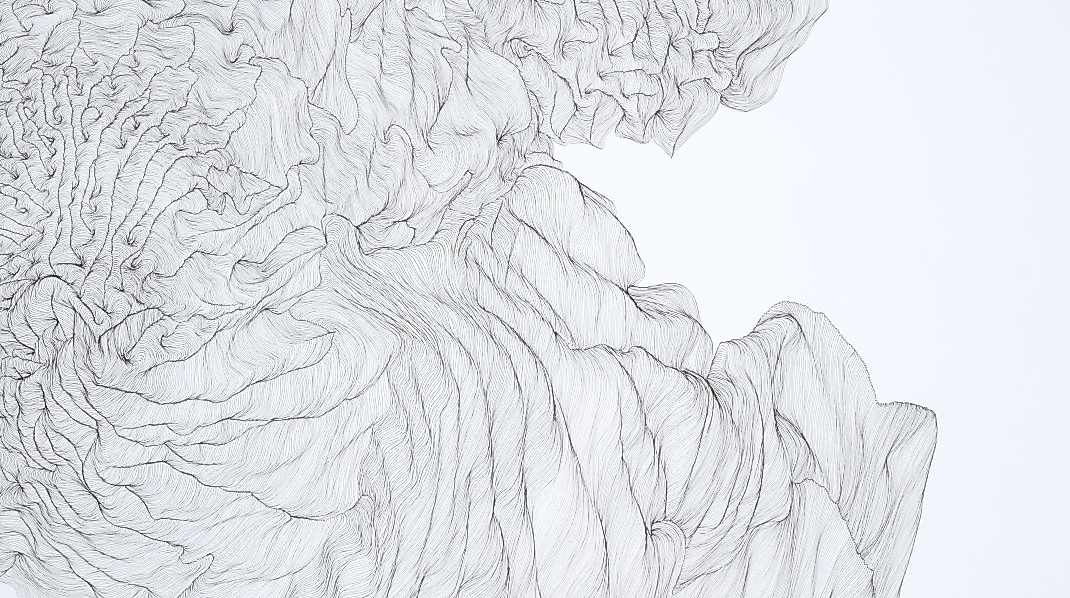 Frieder Falk, wachsen, 2025, Zeichnung, Fineliner 0.05, Zeichenkarton 900 g/qm100 x , 140 cm