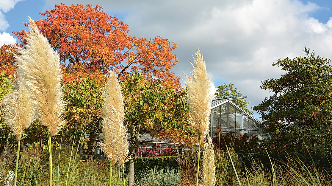 gve-indian-summer_0003_dsc_0540