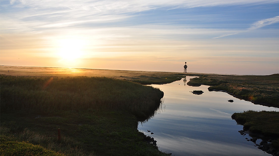 Salzwiesenlandschaft auf Neuwerk bei Sonnenuntergang mit Wasserlauf und Seezeichen im Gegenlicht